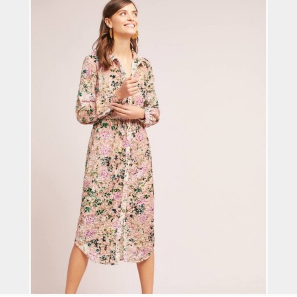 Anthropologie Floral Velvet Dress Hemant & Nandina